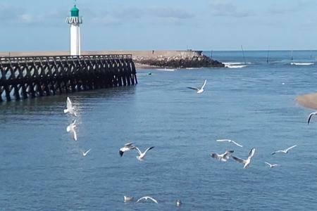 Le Capitaine Jack Apartment Trouville-sur-Mer Bagian luar foto